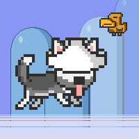 Mr Jump Husky game