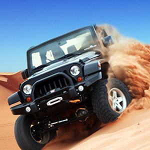 Desert Rally game